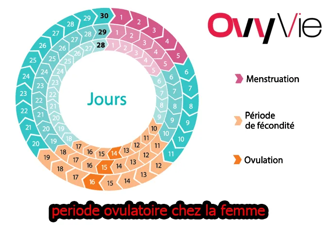 Période ovulatoire chez la femme Période ovulatoire chez la femme